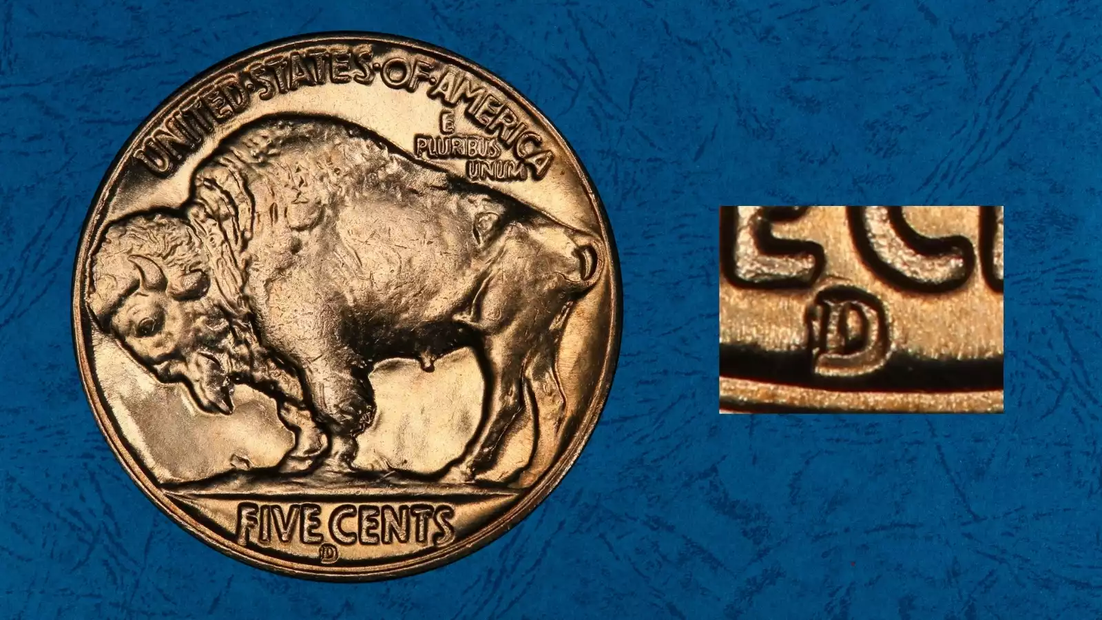1935-D Buffalo Nickel D/D Repunched Mint Mark RPM FS-502 showing secondary D impression under magnification