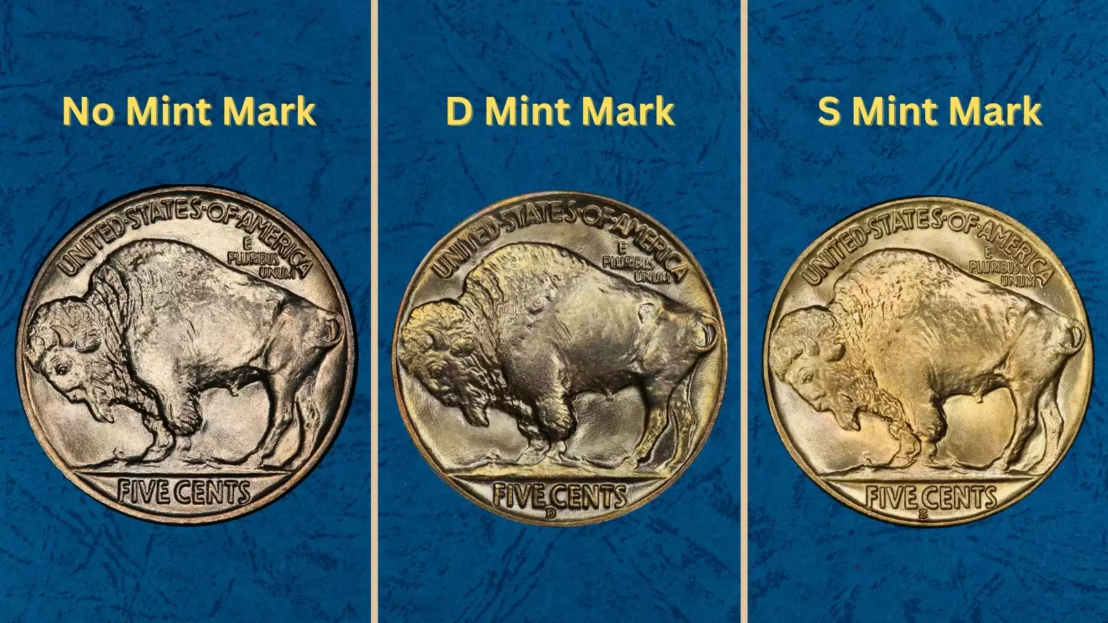 Group of 1935 Buffalo Nickels from all three mints (Philadelphia, Denver, San Francisco) showing mint mark differences